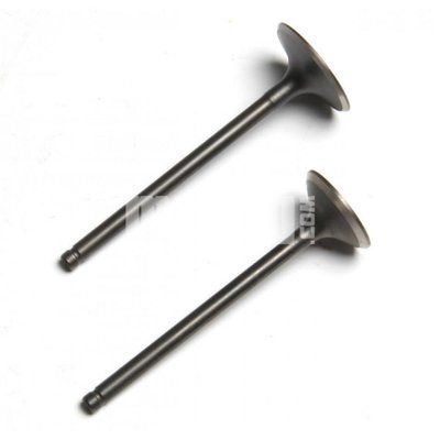 Клапана (впуск+випуск) 169FMM Shineray XY250GY-6B Shineray XY250GY-6C tm-Ю0002049 фото
