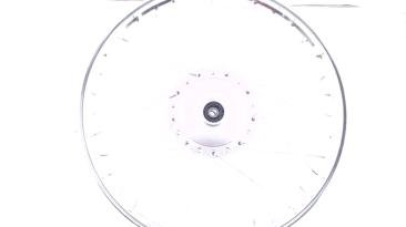 Диск колеса 1,4*17 (перед, барабан) (спицкований) Delta EVO D-5193 фото