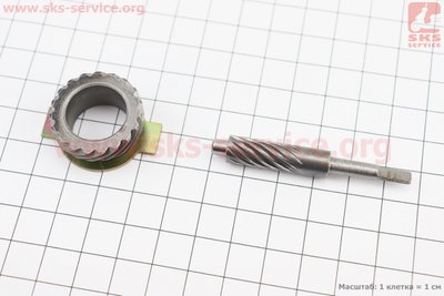 Шестерня спідометру (метал) + черв'як Honda DIO, тип 2 347240 фото