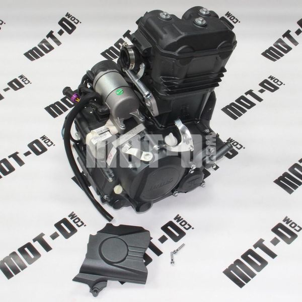 Двигун у зборі 170MM (вод. охл) Shineray XY250-3A (Z1) Shineray Z1 250 TM-Ю0007144 фото