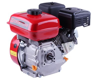 Двигун 170F - бензин (під шліци діаметр 25 мм) (7 к.с.) TATA DV-08-170F фото