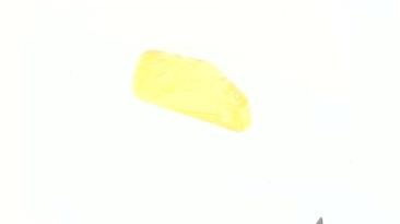 Елемент повітряного фільтра Suzuki SEPIA (поролон із просоченням) (жовтий) CJl V-2450 фото